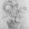 Drawing 11