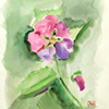 Watercolor Painting 02